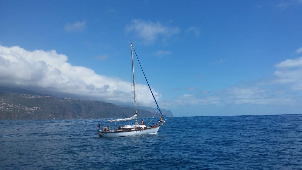 Apartament Ocean View Madeira Madalena do Mar Zewnętrze zdjęcie